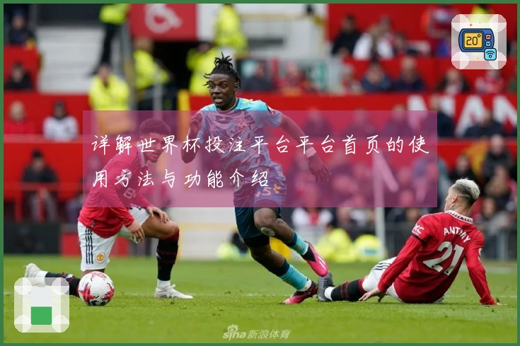 详解世界杯投注平台平台首页的使用方法与功能介绍