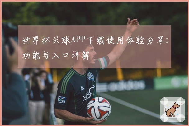 世界杯买球APP下载使用体验分享:功能与入口详解