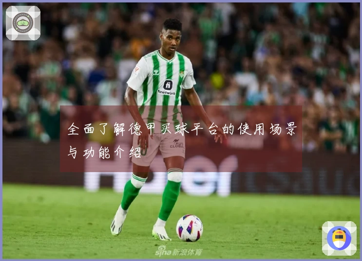全面了解德甲买球平台的使用场景与功能介绍