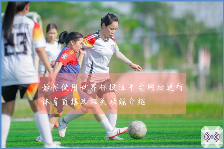 如何使用世界杯投注平台网址进行体育直播及相关功能介绍