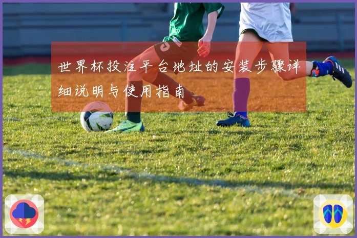 世界杯投注平台地址的安装步骤详细说明与使用指南