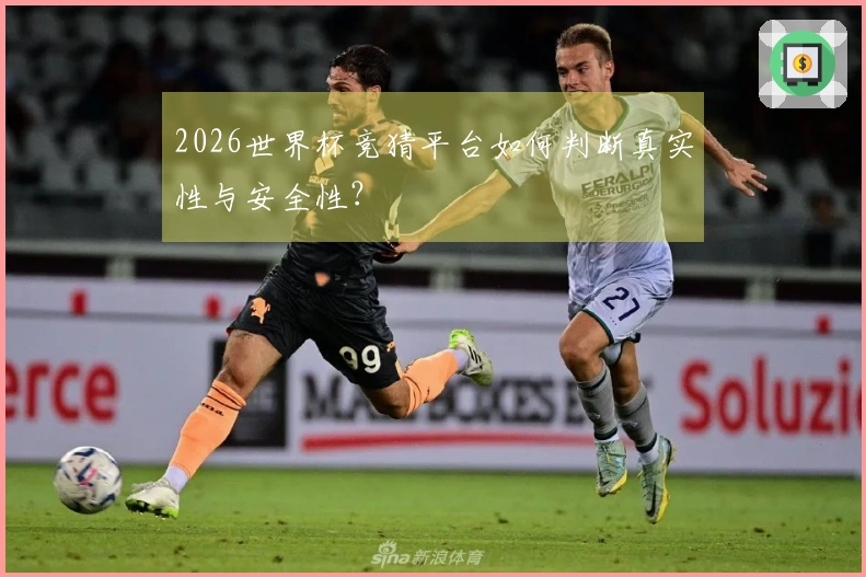 2026世界杯竞猜平台如何判断真实性与安全性？