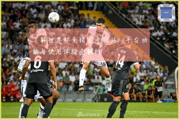 了解世界杯竞猜官方网站：平台功能与使用体验全解析