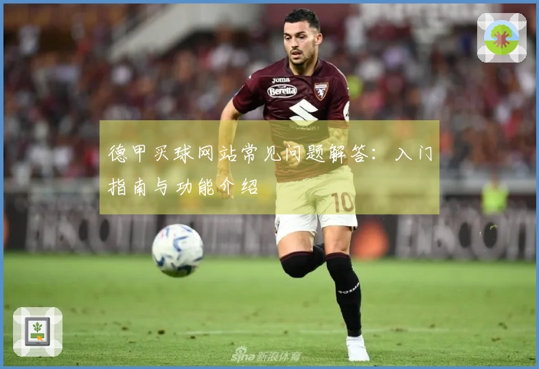 德甲买球网站常见问题解答：入门指南与功能介绍