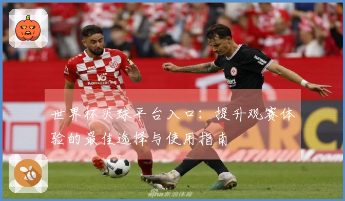 世界杯买球平台入口：提升观赛体验的最佳选择与使用指南