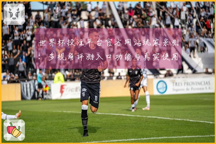 世界杯投注平台官方网站玩家亲测：多视角评测入口功能与真实使用体验