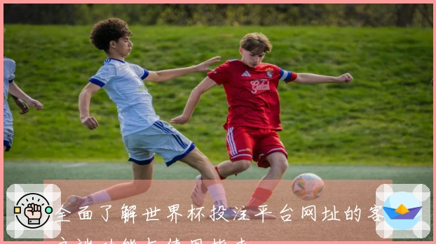 全面了解世界杯投注平台网址的客户端功能与使用指南