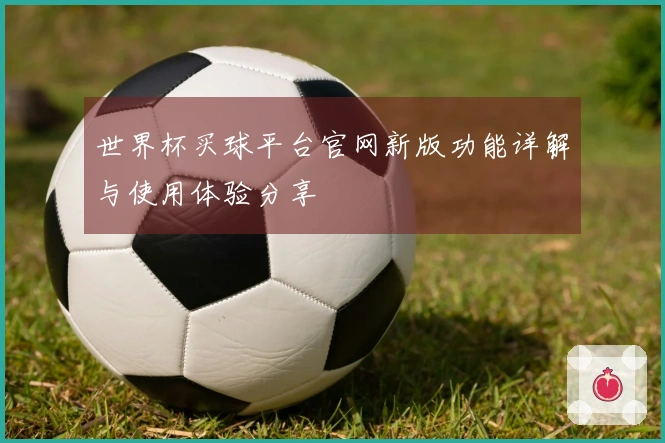世界杯买球平台官网新版功能详解与使用体验分享